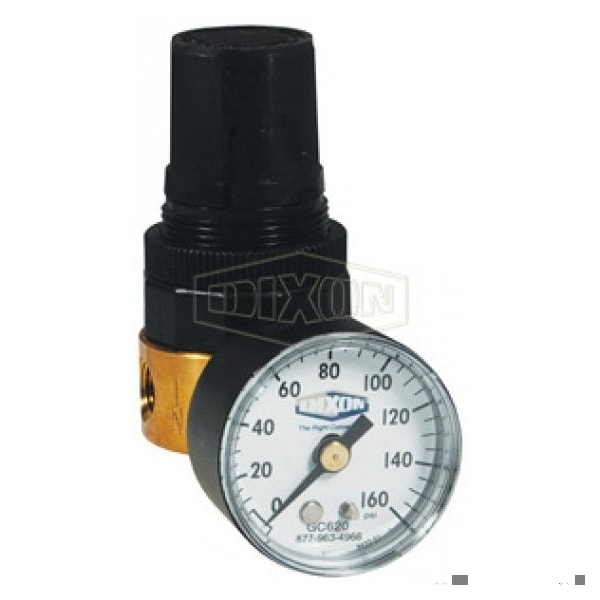 Wilkerson by Miniature Water Regulator with GC620 Gauge, 1/8 in NPT/BSPP-G, 2 to 125 psig Adjustable